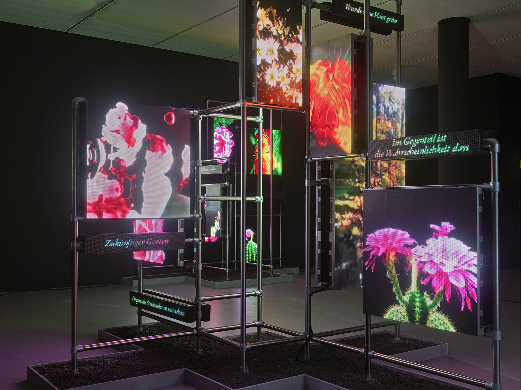 Hito Steyerl, I Will Survive, 2020, exhibition view at K21 Kunstsammlung Nordrhein-Westfalen, Düsseldorf